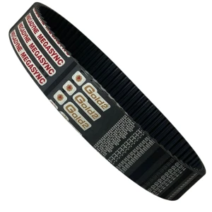 CORREIA 14M 1106 X 40MM MEGADYNE GOLD RPP