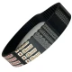 CORREIA 14M 1750 X 40MM MEGADYNE GOLD RPP
