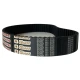 CORREIA 14M 1400 X 55MM MEGADYNE GOLD RPP