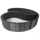 CORREIA 14M 1400 X 22MM STEIGENTECH