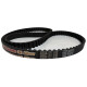 CORREIA 14M 1568 X 24MM MEGADYNE GOLD RPP CORREIA 14M 1568 X 24MM MEGADYNE GOLD RPP