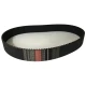 CORREIA 14M 1778 X 80MM OPTIBELT OMEGA HP