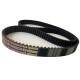 CORREIA 14M 2100 X 40MM MEGADYNE GOLD RPP CORREIA 14M 2100 X 40MM MEGADYNE GOLD RPP