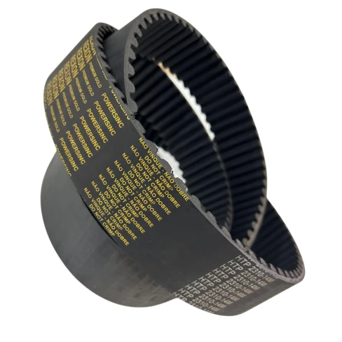 CORREIA 14M 2310 X 148MM REXON POWERSINC SCIR