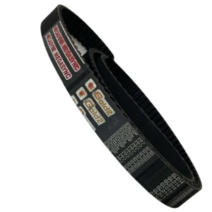 CORREIA 14M 3920 X 40MM MEGADYNE GOLD RPP