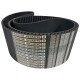 CORREIA 14M 2800 X 170MM MEGADYNE RPP