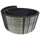 CORREIA 14M 2800 X 170MM MEGADYNE RPP CORREIA 14M 2800 X 170MM MEGADYNE RPP