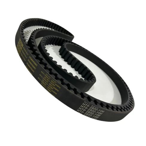 CORREIA 14M 2800 X 33MM REXON POWERSINC SCIR