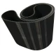 CORREIA 14M 3850 X 55MM STEIGENTECH