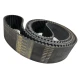 CORREIA 14M 3850 X 95MM UNIBELT