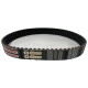 CORREIA 14M 966 X 40MM MEGADYNE GOLD RPP