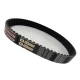 CORREIA 14M 966 X 57MM MEGADYNE GOLD RPP CORREIA 14M 966 X 57MM MEGADYNE GOLD RPP