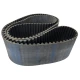 CORREIA 20M 2660 X 170MM UNIBELT