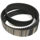 CORREIA 5M 1135 X 15MM OPTIBELT OMEGA