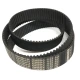 CORREIA 5M 1135 X 15MM OPTIBELT OMEGA