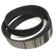 CORREIA 5M 1135 X 25MM OPTIBELT OMEGA