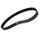 CORREIA 5M 1150 X 25MM 100