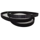 CORREIA 5M 1595 X 15MM CONTINENTAL