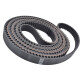 CORREIA 5M 2000 X 25MM 100