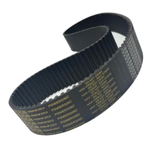 CORREIA 8M 1016 X 12MM 050 REXON POWERSINC FP