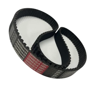 CORREIA 8M 1120 X 19MM OPTIBELT OMEGA HP