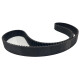 CORREIA 8M 1160 X 20MM 075