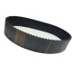 CORREIA 8M 976 X 30MM MEGADYNE/JASON CORREIA 8M 976 X 30MM MEGADYNE/JASON