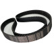 CORREIA 8M 1224 X 11MM 045 OPTIBELT OMEGA