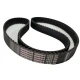 CORREIA 8M 1224 X 36MM 142 OPTIBELT OMEGA