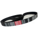 CORREIA 8M 1320 X 25MM OPTIBELT OMEGA HP