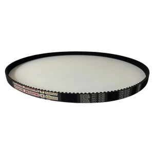 CORREIA 8M 1440 X 21MM MEGADYNE GOLD RPP