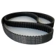 CORREIA 8M 1440 X 25MM CONTITECH