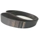 CORREIA 8M 1552 X 50MM STRONGBELT