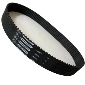 CORREIA 8M 1600 X 20MM GATES GT4