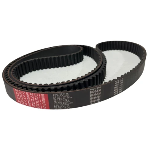 CORREIA 8M 1800 X 55MM 220 MOVENDIS PERFORMANCE