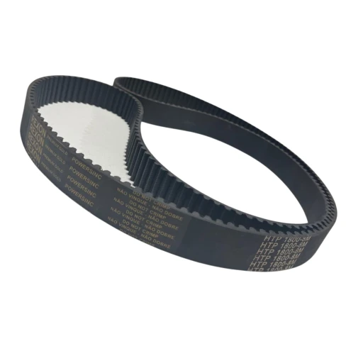 CORREIA 8M 1800 X 31MM REXON POWERSINC SCIR
