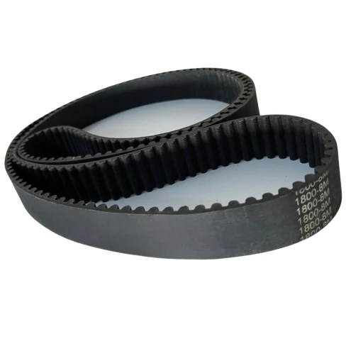 CORREIA 8M 1800 X 15MM