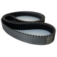 CORREIA 8M 1800 X 10MM 040 CORREIA 8M 1800 X 10MM 040