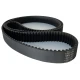CORREIA 8M 1800 X 10MM