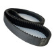 CORREIA 8M 1800 X 10MM 040 CORREIA 8M 1800 X 10MM 040