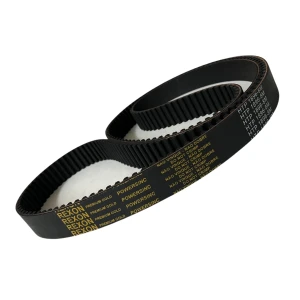 CORREIA 8M 1896 X 39MM 155 REXON POWERSINC SCIR