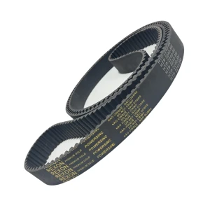 CORREIA 8M 2240 X 19MM REXON POWERSINC SCIR