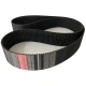 CORREIA 8M 2400 X 85MM OPTIBELT OMEGA HP