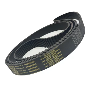 CORREIA 8M 2504 X 30MM REXON POWERSINC SCIR