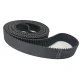 CORREIA 8M 2800 X 25MM 100 CORREIA 8M 2800 X 25MM 100