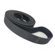 CORREIA 8M 3280 X 22MM