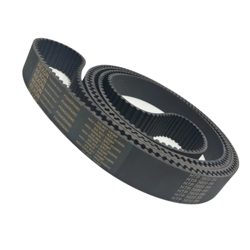 CORREIA 8M 3600 X 21MM REXON POWERSINC SCIR