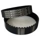 CORREIA 8M 384 X 25MM MEGADYNE RPP