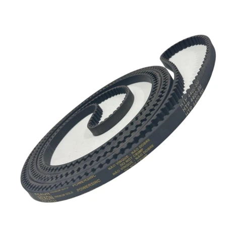 CORREIA 8M 4400 X 50MM REXON POWERSINC SCIR