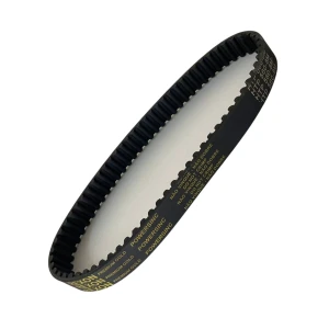 CORREIA 8M 560 X 30MM REXON POWERSINC SCIR